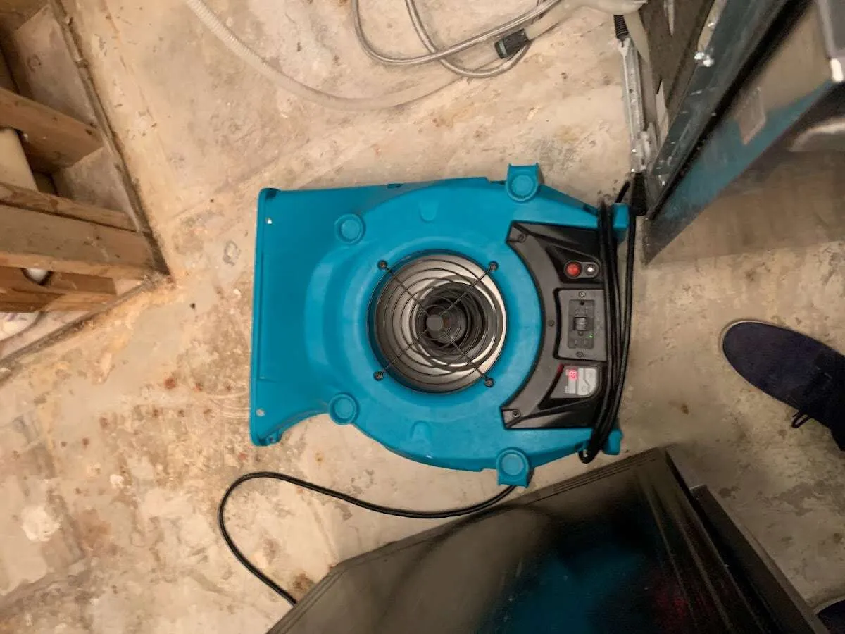 Air mover drying equipment for Mold Remediation & Removal in Keller